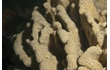 Enlarge image of Sponge