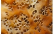 Enlarge image of Sponge