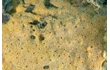 Enlarge image of Sponge