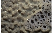 Enlarge image of Sponge