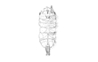 Enlarge image of Gnathiid Isopod